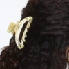 Grosse Haarschmuck-Spange