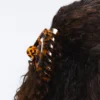 Grosse Haarschmuck-Spange Grosse Haarschmuck-Spange