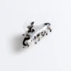 Grosse Haarschmuck-Spange Grosse Haarschmuck-Spange